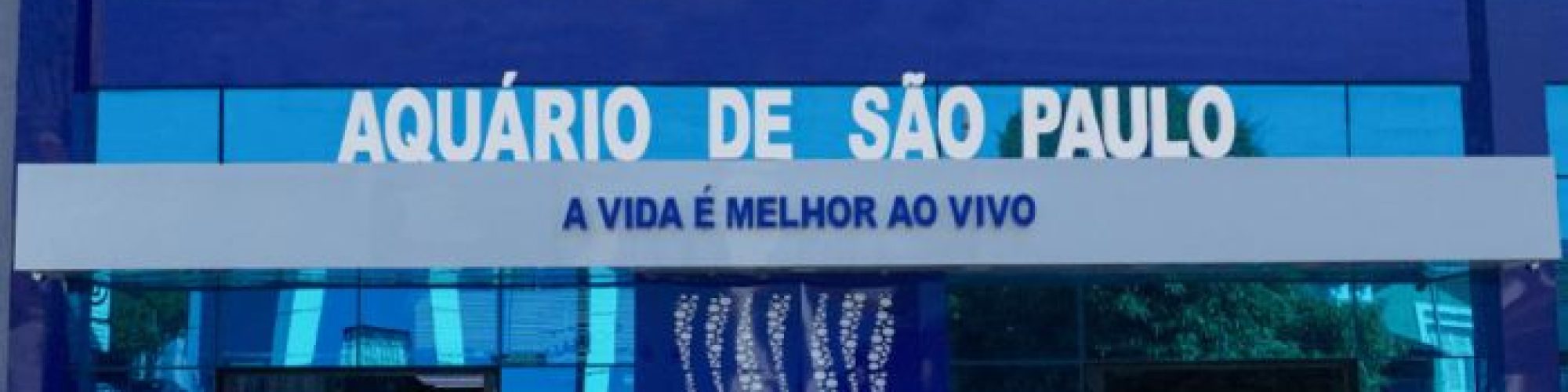 aquario-de-sp