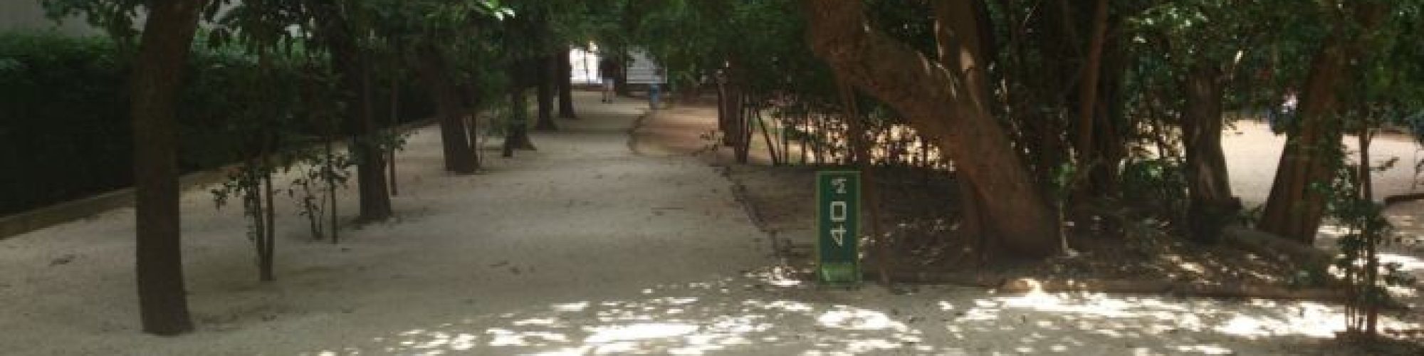 bosque-brooklin