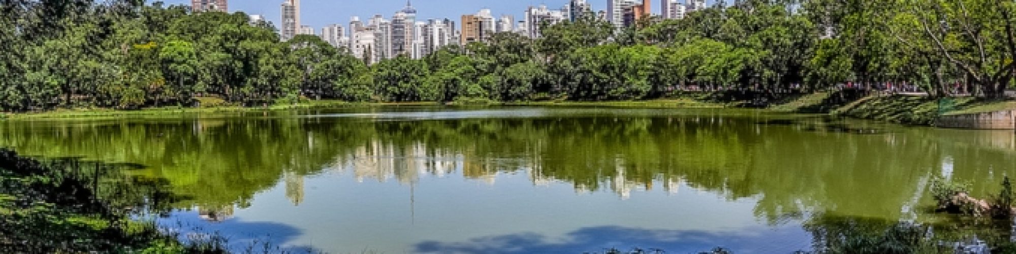 parque-da-aclimacao